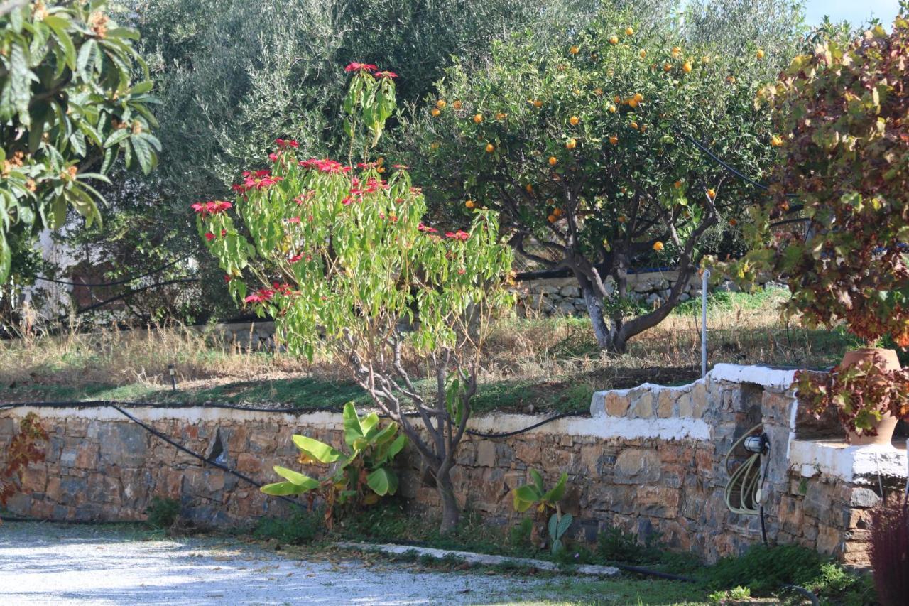 Kassandra Garden Residence Istro Bagian luar foto