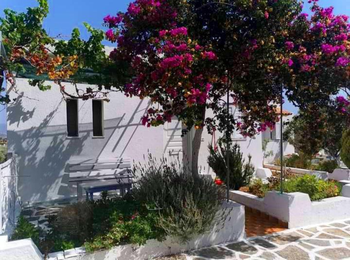 Kassandra Garden Residence Istro Bagian luar foto