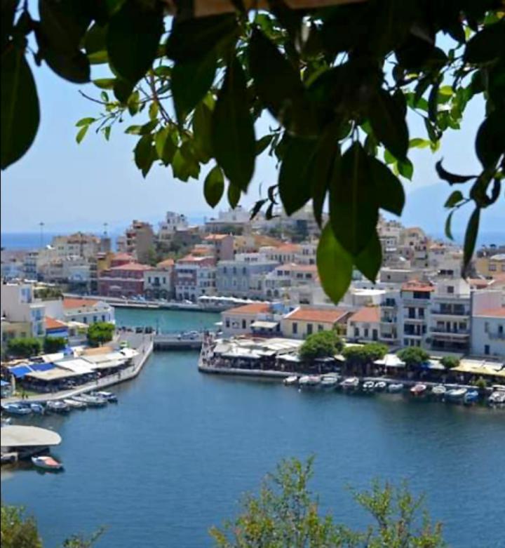 Kassandra Garden Residence Istro Bagian luar foto