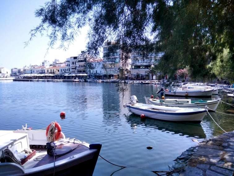 Kassandra Garden Residence Istro Bagian luar foto