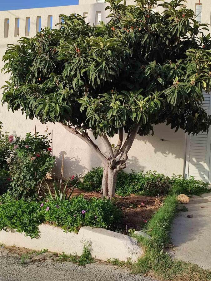 Kassandra Garden Residence Istro Bagian luar foto