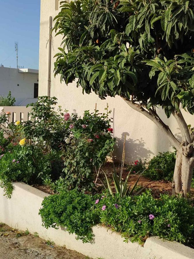 Kassandra Garden Residence Istro Bagian luar foto